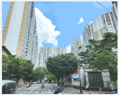  2025Ÿ��33445  ����Ʈ���