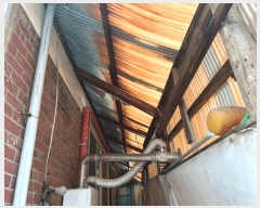  2025Ÿ��33455  ���ð��