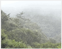  2025Ÿ��33468  �����