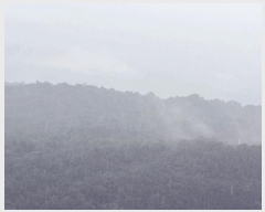  2025Ÿ��33468  �����