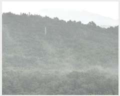  2025Ÿ��33468  �����