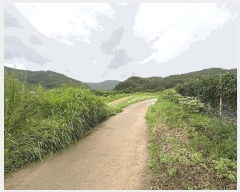  2025Ÿ��33468  �����