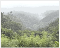  2025Ÿ��33468  �����