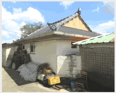  2025Ÿ��33666  ���ð��