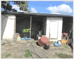  2025Ÿ��33666  ���ð��