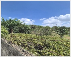  2025Ÿ��33666  ���ð��