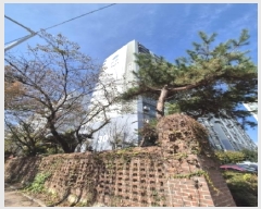  2025Ÿ��34037  ����Ʈ���