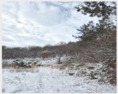  2025Ÿ��127  �����