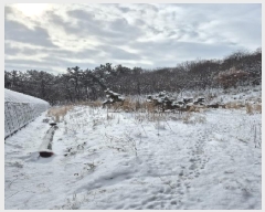  2025Ÿ��127  �����