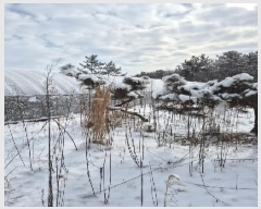  2025Ÿ��127  �����