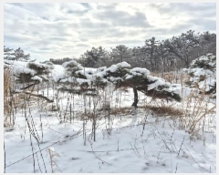  2025Ÿ��127  �����