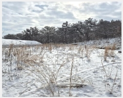  2025Ÿ��127  �����