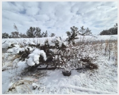  2025Ÿ��127  �����