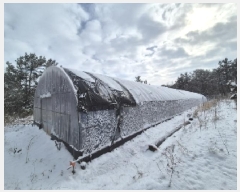  2025Ÿ��127  �����