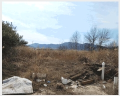  2025Ÿ��967  ������