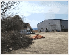  2025Ÿ��967  ������