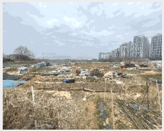  2025Ÿ��1212 ���� �ϱ� �ſ뵿 477-5       ����(��)���