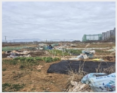  2025Ÿ��1212 ���� �ϱ� �ſ뵿 477-5       ����(��)���