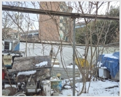  2025Ÿ��30999  ����