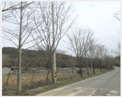  2025Ÿ��32043  �Ӿ߰��