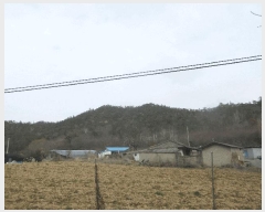  2025Ÿ��32043  �Ӿ߰��