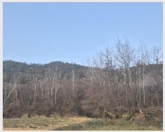  2025Ÿ��32043  �Ӿ߰��