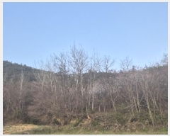  2025Ÿ��32043  �Ӿ߰��