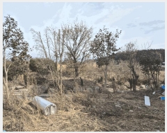  2025Ÿ��32087 ���� ���ֽ� ��õ�� �̰ 613      ����(����)���