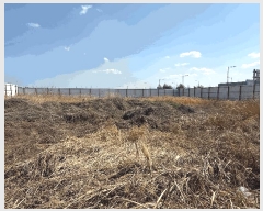  2025Ÿ��32233 ���� ���ֽ� �������� 953-3       ����(����)���