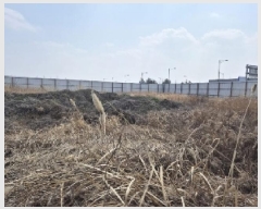  2025Ÿ��32233 ���� ���ֽ� �������� 953-3       ����(����)���