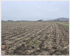  2025Ÿ��32267 ���� ���ֽ� ��ȸ� �Ȼ긮 880      ����(����)���