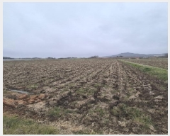  2025Ÿ��32267 ���� ���ֽ� ��ȸ� �Ȼ긮 880      ����(����)���