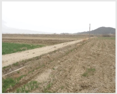  2025Ÿ��32373 ���� ���ֽ� �ݳ��� û�۸� 1154-11      ����(��)���