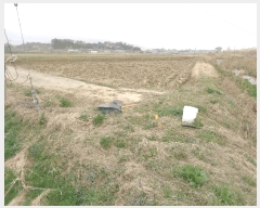  2025Ÿ��32373 ���� ���ֽ� �ݳ��� û�۸� 1154-11      ����(��)���