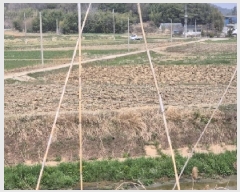  2025Ÿ��32373 ���� ���ֽ� �ݳ��� û�۸� 1154-11      ����(��)���