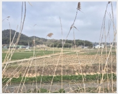  2025Ÿ��32373 ���� ���ֽ� �ݳ��� û�۸� 1154-11      ����(��)���