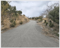  2025Ÿ��32468 ���� ���ֽ� ��õ�� �̰ 605      ����(����)���