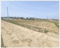  2025Ÿ��32560  ����