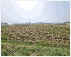  2025Ÿ��32560  ����