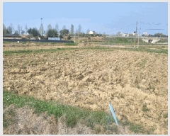  2025Ÿ��32560  ����