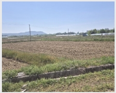  2025Ÿ��32560  ����