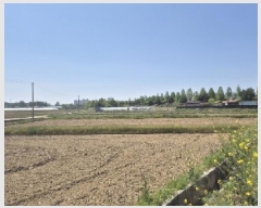  2025Ÿ��32560  ����