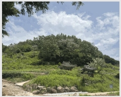  2025Ÿ��32723 ���� ��� ����� ��� 1494-1      ����(����)���