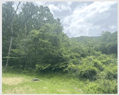  2025Ÿ��32723 ���� ��� ����� ��� 1494-1      ����(����)���