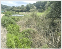  2025Ÿ��32723 ���� ��� ����� ��� 1494-1      ����(����)���