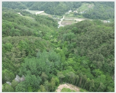  2025Ÿ��32723 ���� ��� ����� ��� 1494-1      ����(����)���