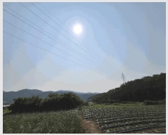  2025Ÿ��32819 ���� �强�� ���� ȭ�긮 209      ����(��1)���