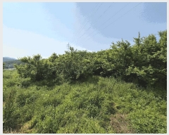  2025Ÿ��32819 ���� �强�� ���� ȭ�긮 209      ����(��1)���