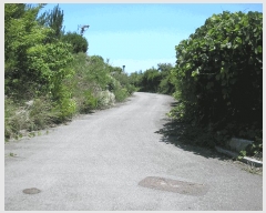  2025Ÿ��33066 ���� ���ֽ� ��õ�� �̰ 612 �ְ��๰��1��     ���ð��