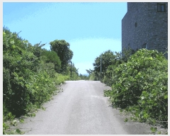  2025Ÿ��33066 ���� ���ֽ� ��õ�� �̰ 612 �ְ��๰��1��     ���ð��